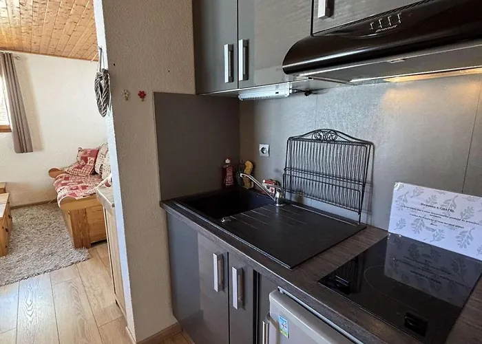 Διαμέρισμα Yeti 6 N° 8 : Renove Au Petit Châtel