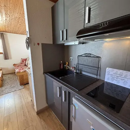 Apartment Yeti 6 N° 8 : Renove Au Petit Chatel